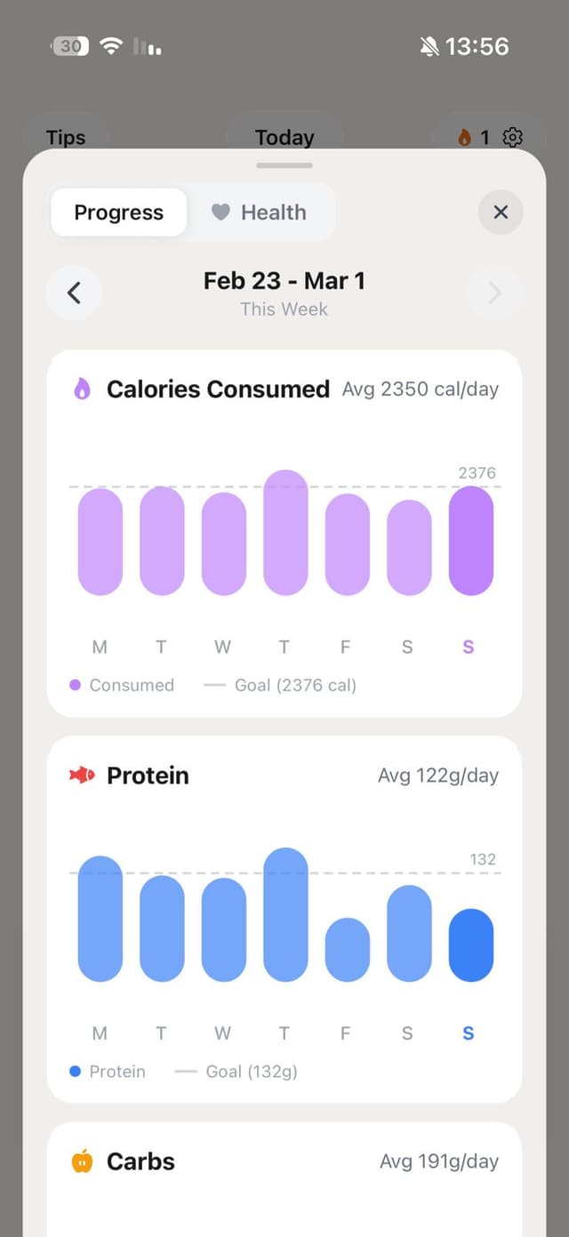Progress charts and analytics